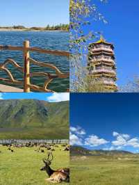 敦煌沙漠奇觀！騎駱駝穿越千年壁畫，這趟值了！