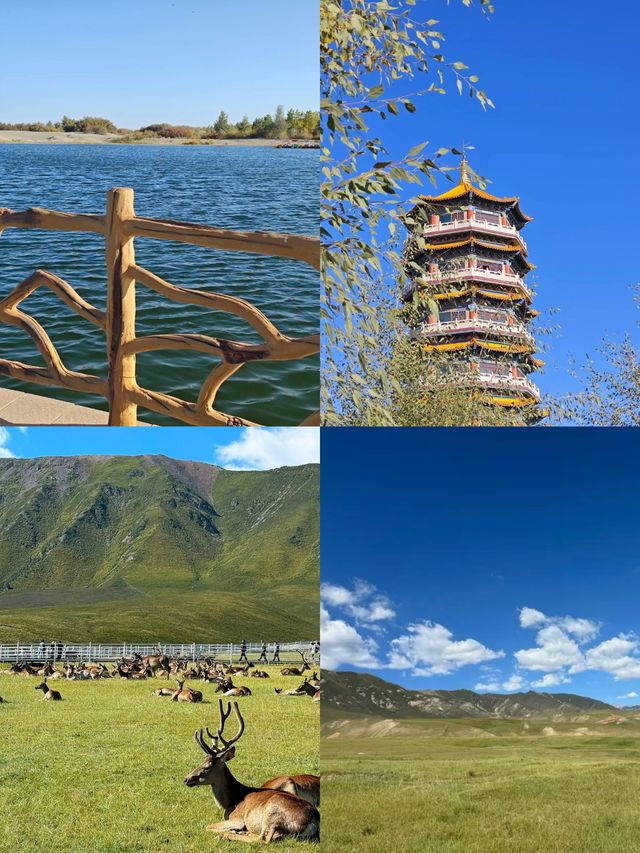 敦煌沙漠奇觀！騎駱駝穿越千年壁畫，這趟值了！