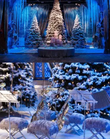 11 12月東京活動點燈合集攻略