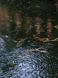 一秒穿越千年古庭院