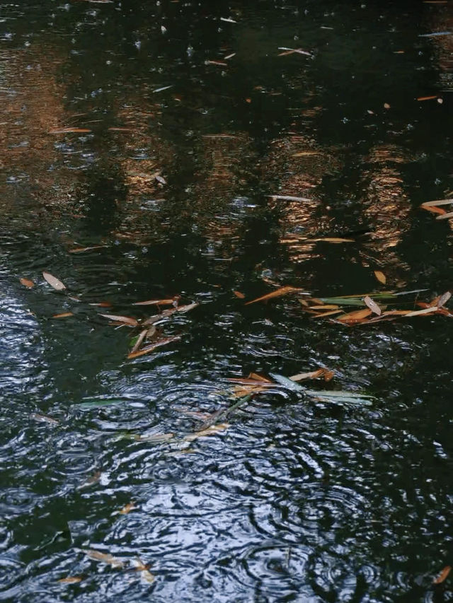 一秒穿越千年古庭院