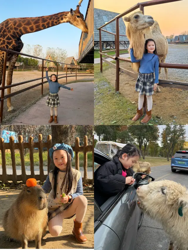 Staying at the Zoo｜Complete Guide to Nantong Wildlife Zoo