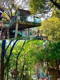 重慶秋冬citywalk天花板黃葛古道全下坡攻略！