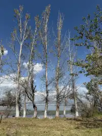 11月的西昌|環海騎行電動車解鎖隱藏觀景點