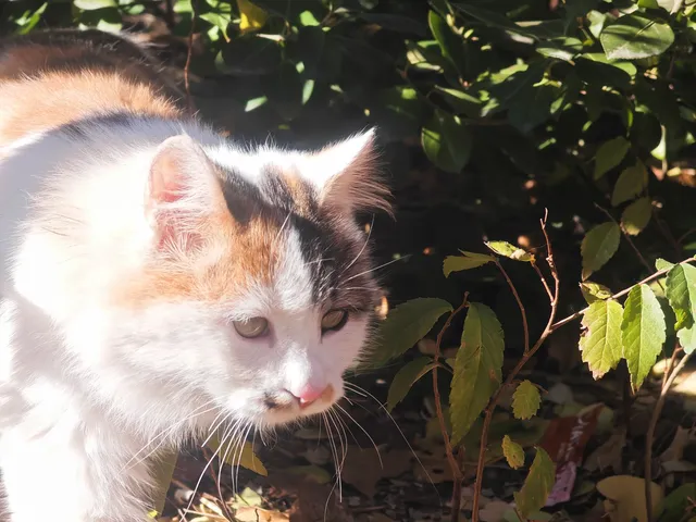 古北水鎮嗨玩記!萌娃泡溫泉爬長城絕絕子 古北水鎮嗨玩記!萌娃泡溫泉爬長城絕絕子