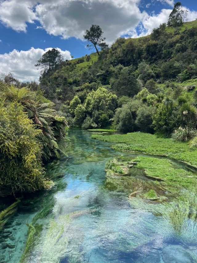 A Must-Visit in New Zealand! Blue Spring Leslie Road Entrance, 15 ...