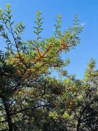 中國墨石公園！（874）