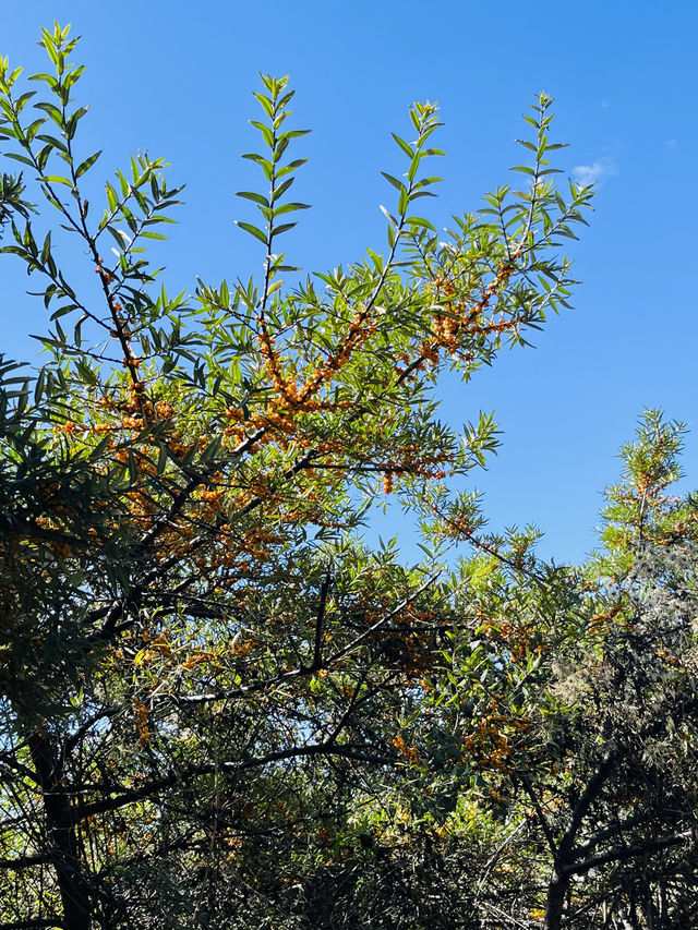 中國墨石公園！（874）