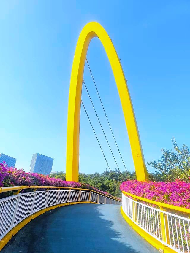 雲端綠道網紅橋小眾親子徒步路線快打卡 雲端綠道網紅橋小眾親子徒步路線快打卡