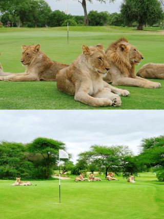 全球最野高爾夫球場，你敢打嗎？ 在這裡，高爾夫不僅是一項運動 更是一種生命體驗！  全球最野