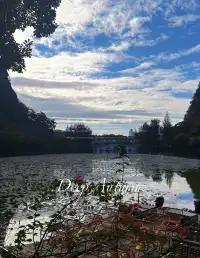 社恐狂喜！東門早8點入園我承包了整片天柱岩