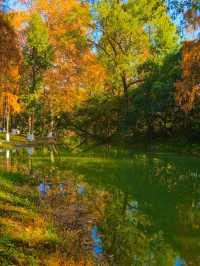 秋色滿園絕美倒映