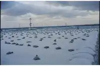 5203,海邊的風景、曝光的意外