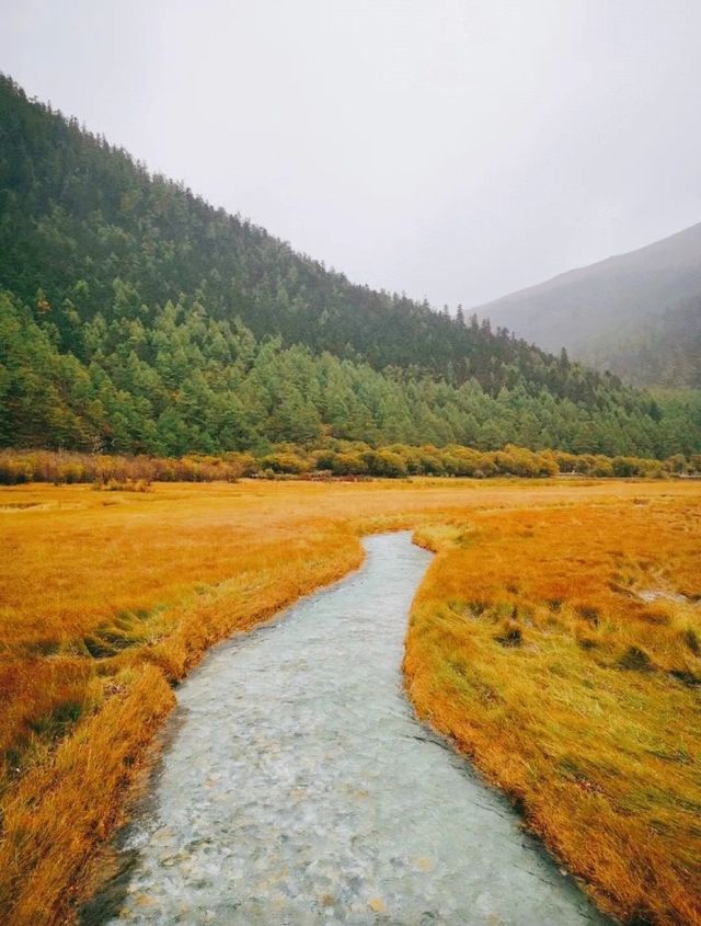 稻城亞丁秘境沖古草甸才是真正的世外桃源! 稻城亞丁秘境沖古草甸才是真正的世外桃源!