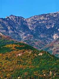 泰山|不僅一覽眾山小,更有色彩斑斕的秋