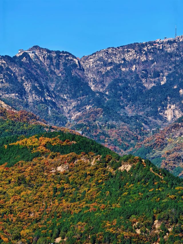泰山|不僅一覽眾山小,更有色彩斑斕的秋 泰山|不僅一覽眾山小,更有色彩斑斕的秋