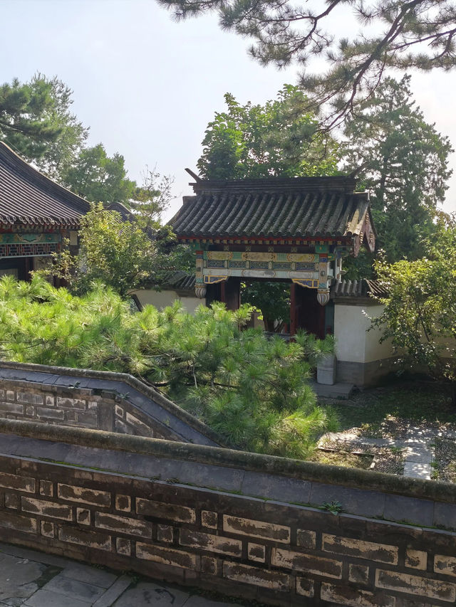 洛陽-鄭州3天遊攻略｜秋天去這倆地兒 值哭了