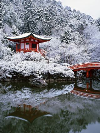 Winter Travel in Japan · Kyoto Goes Wild After a Blizzard!