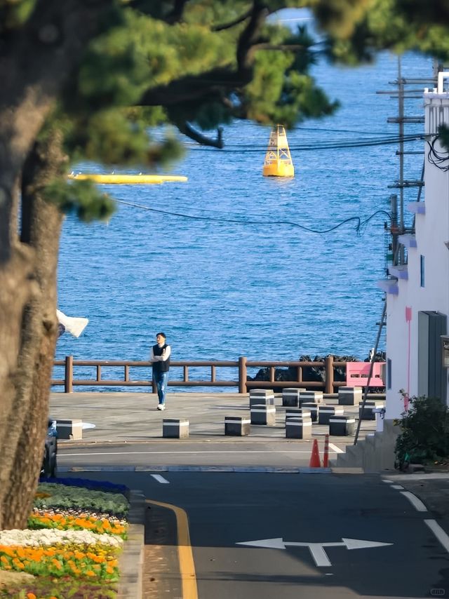 救命又是被日本九州狠狠折服的一天 救命又是被日本九州狠狠折服的一天