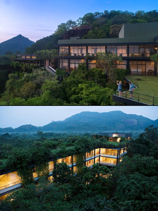 誰說這斯里蘭卡破啊家庭旅行可太好了