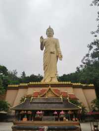 勐瀾大佛寺｜西雙版納的秘境禪意