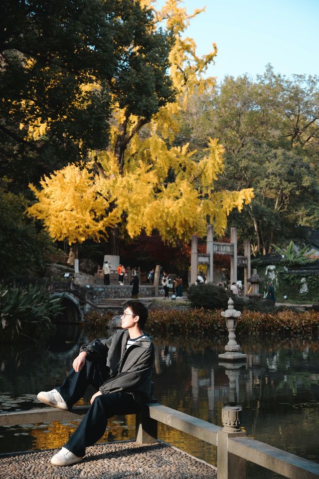 松下S9超絕濾鏡|亭林園銀杏簡直不要太出片 松下S9超絕濾鏡|亭林園銀杏簡直不要太出片