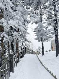 西嶺雪山帶娃追雪成功,小月齡也可衝!