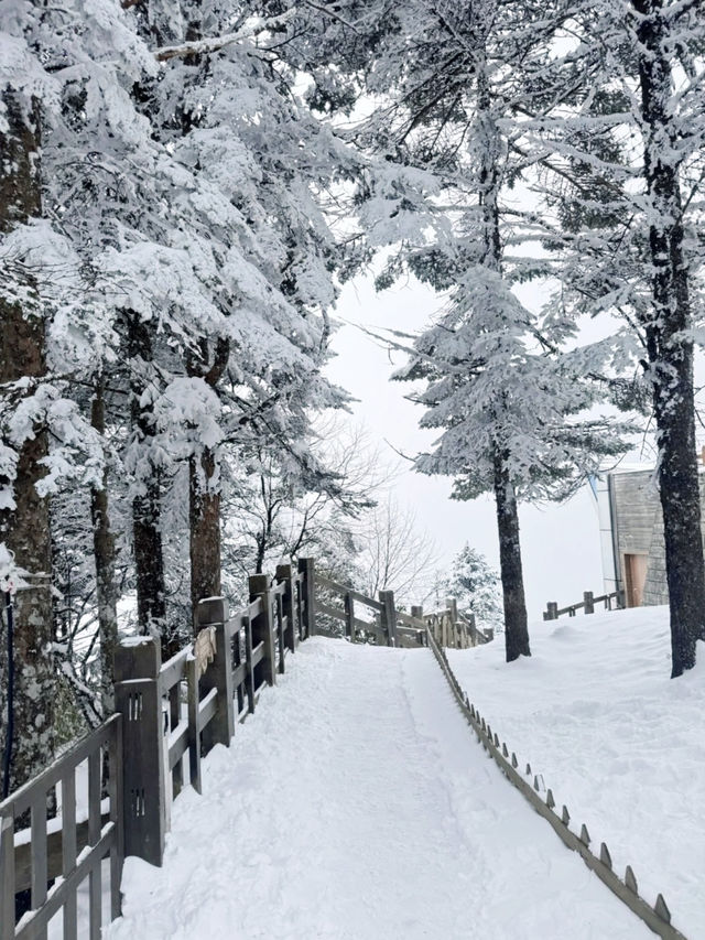 西嶺雪山帶娃追雪成功,小月齡也可衝! 西嶺雪山帶娃追雪成功,小月齡也可衝!