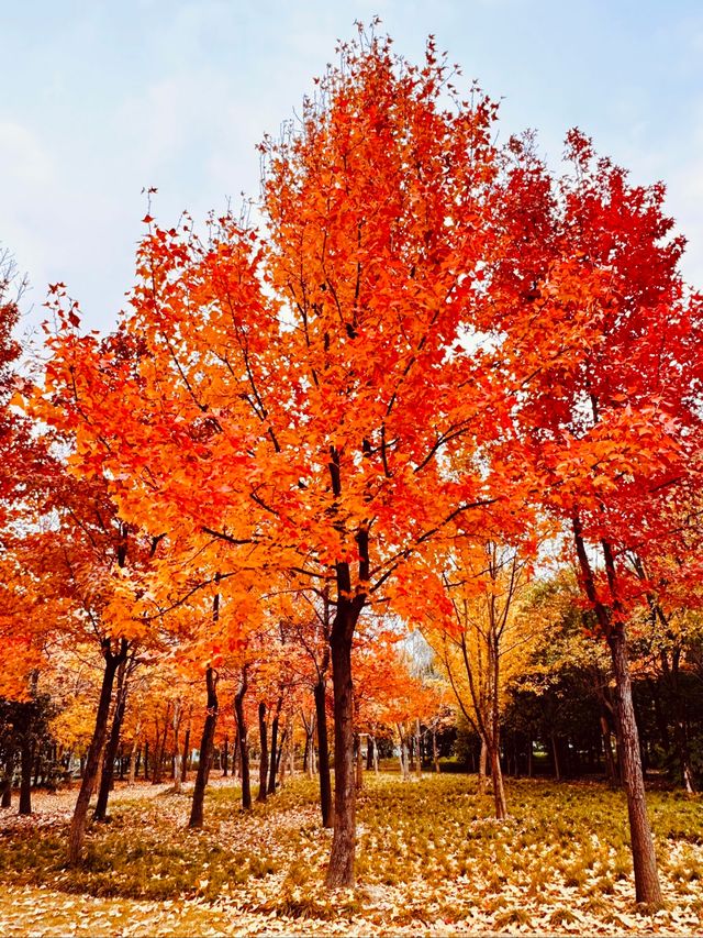 上海發布認證 已達巔峰值 相當炸裂