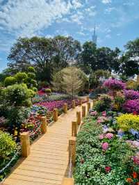 深圳這裡也太美了吧！！