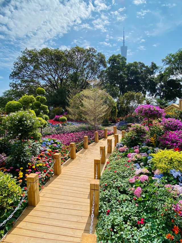 深圳這裡也太美了吧！！