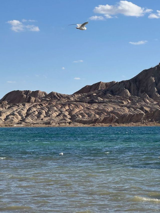 青海托素湖誤入戈壁的藍寶石