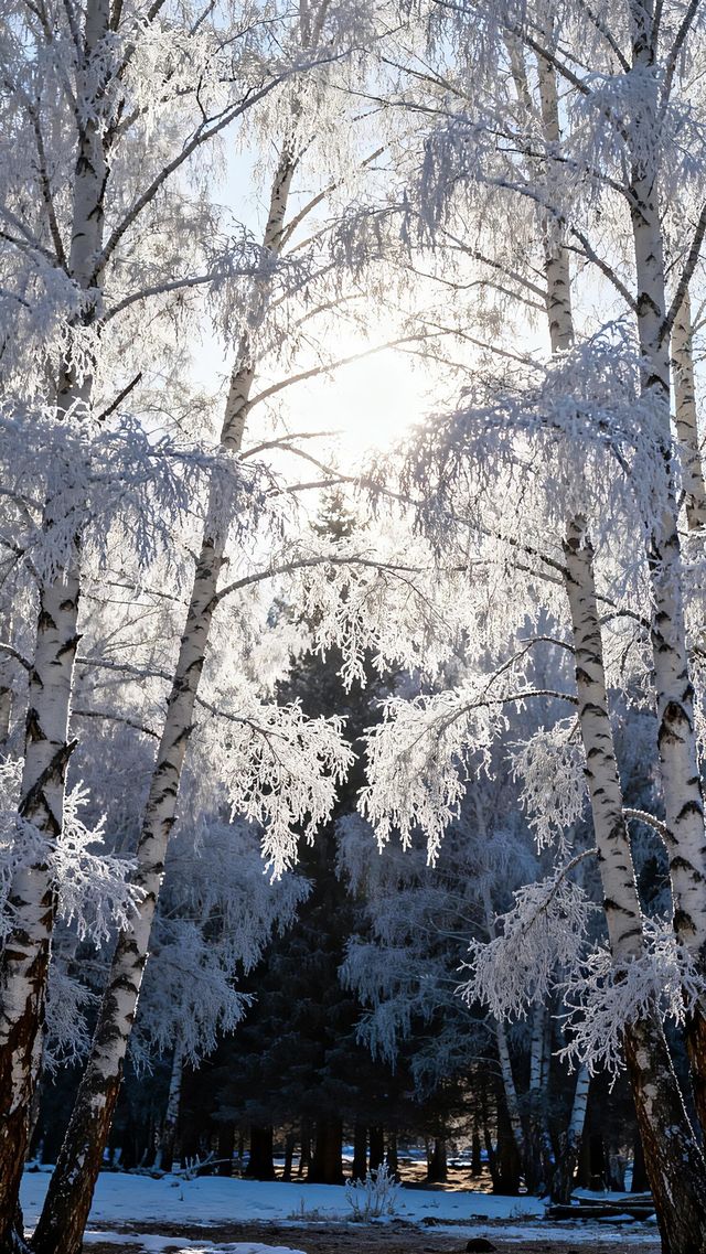 喀納斯禾木冬季遊玩攻略|||以下是一份詳細的喀納斯禾木冬 喀納斯禾木冬季遊玩攻略|||以下是一份詳細的喀納斯禾木冬