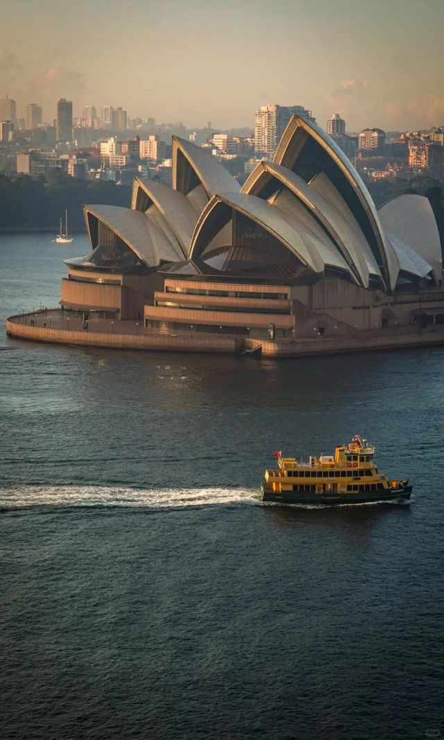 答應我！這輩子一定要在悉尼暴走一天！