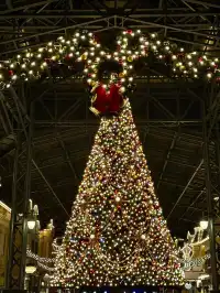 第三座迪士尼城堡