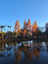 深秋漫步普洱,邂逅人間絕美湖畔秘境