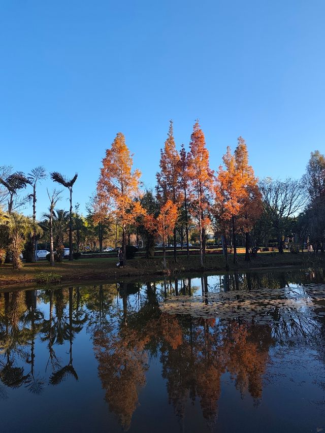 深秋漫步普洱,邂逅人間絕美湖畔秘境 深秋漫步普洱,邂逅人間絕美湖畔秘境