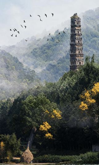 Weekend Escape from Hangzhou in 2 Hours｜Relax and Enjoy the Entire Autumn at Guoqing Temple