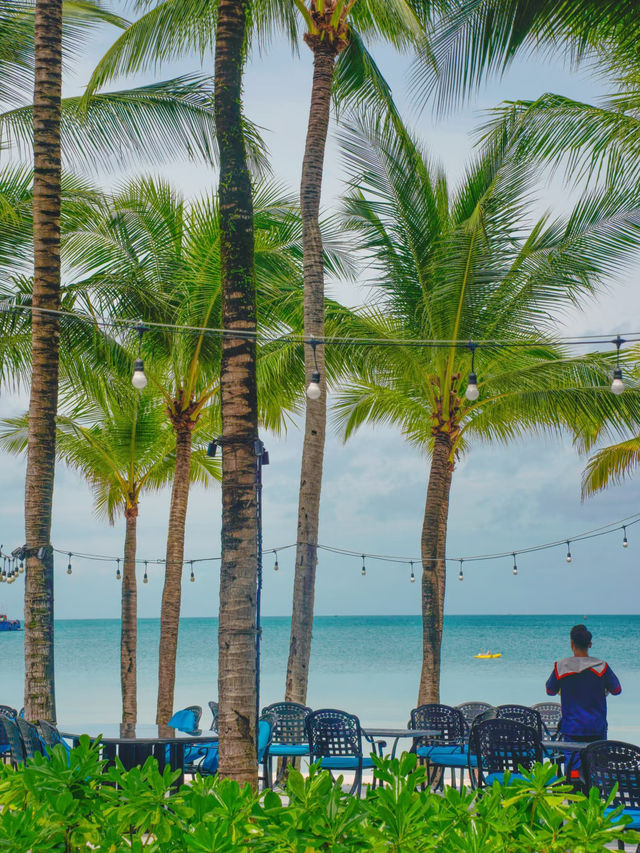 Vietnam’s Underrated Island Paradise: 5 Dreamy Days in Phu Quoc 🇻🇳✨ Vietnam’s Underrated Island Paradise: 5 Dreamy Days in Phu Quoc 🇻🇳✨