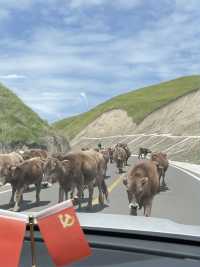 冬日伊犁包車遊 解鎖冰雪童話世界