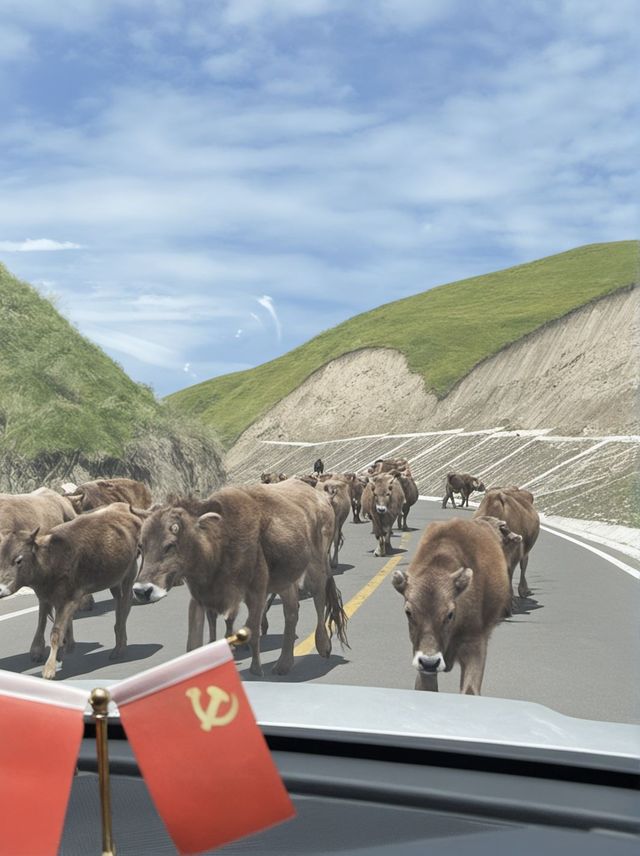 冬日伊犁包車遊 解鎖冰雪童話世界