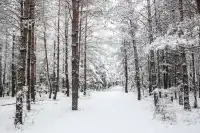 冬日限定長春-延邊遊玩攻略來啦