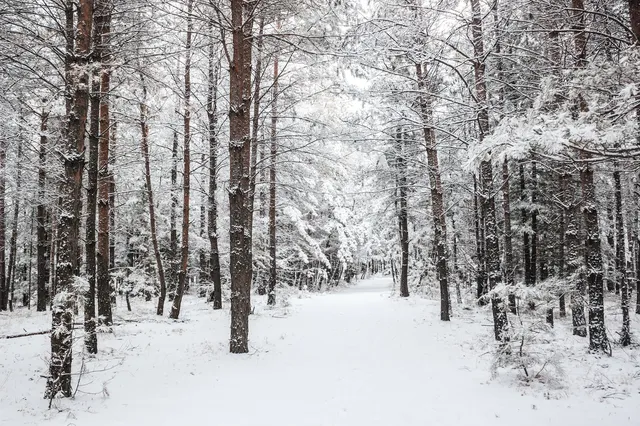 冬日限定長春-延邊遊玩攻略來啦 冬日限定長春-延邊遊玩攻略來啦
