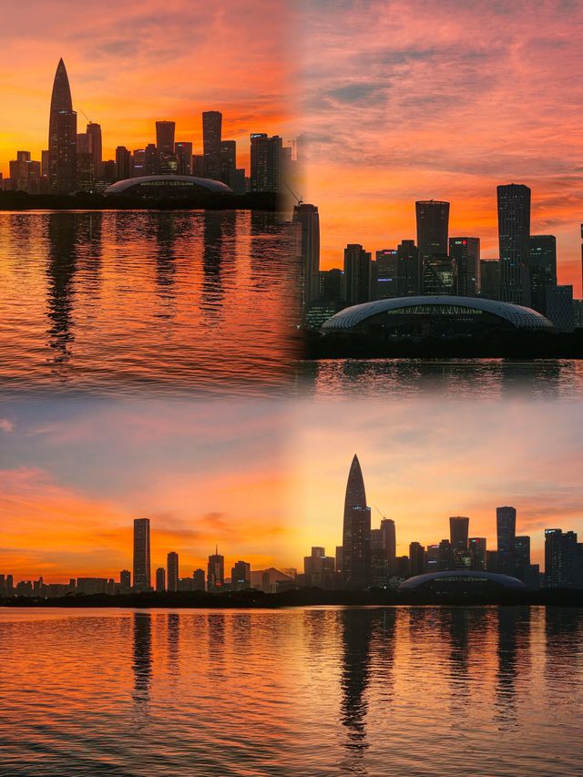 深圳冬日封神！海鷗與日落的浪漫暴擊