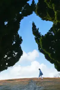 為了這幾個機位專門飛了一次青島