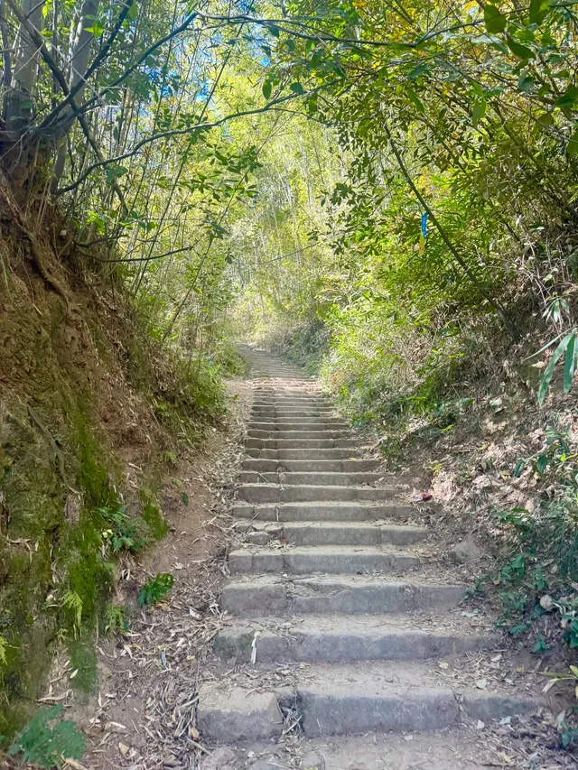 莫干山蔣公古道 請大膽浪費時間給秋天