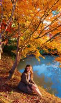 魔都絕美賞秋地!花開海上生態園治癒系深秋大片拍攝攻略