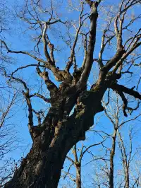 • 野山徒步穿越初體驗