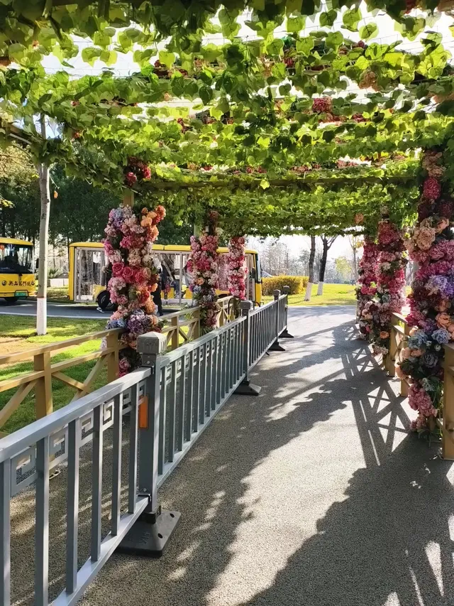 洛陽|龍門石窟|11.29實況 洛陽|龍門石窟|11.29實況