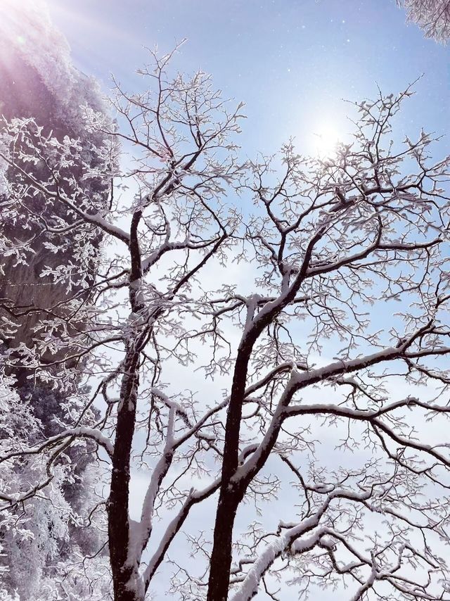 12月-2月來郴州莽山的!存下吧超全的!小眾玩雪地必衝! 12月-2月來郴州莽山的!存下吧超全的!小眾玩雪地必衝!